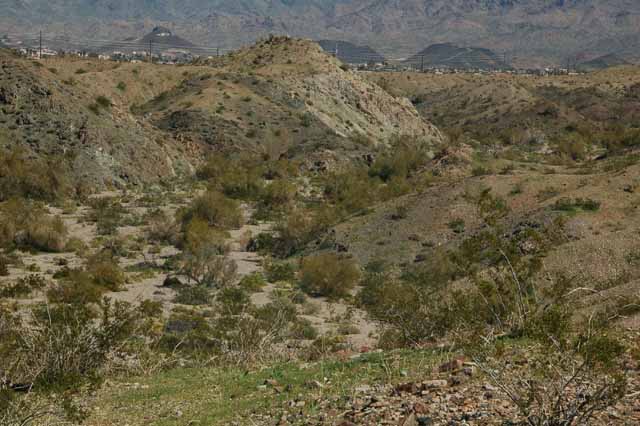 the Chemehuevi Wash